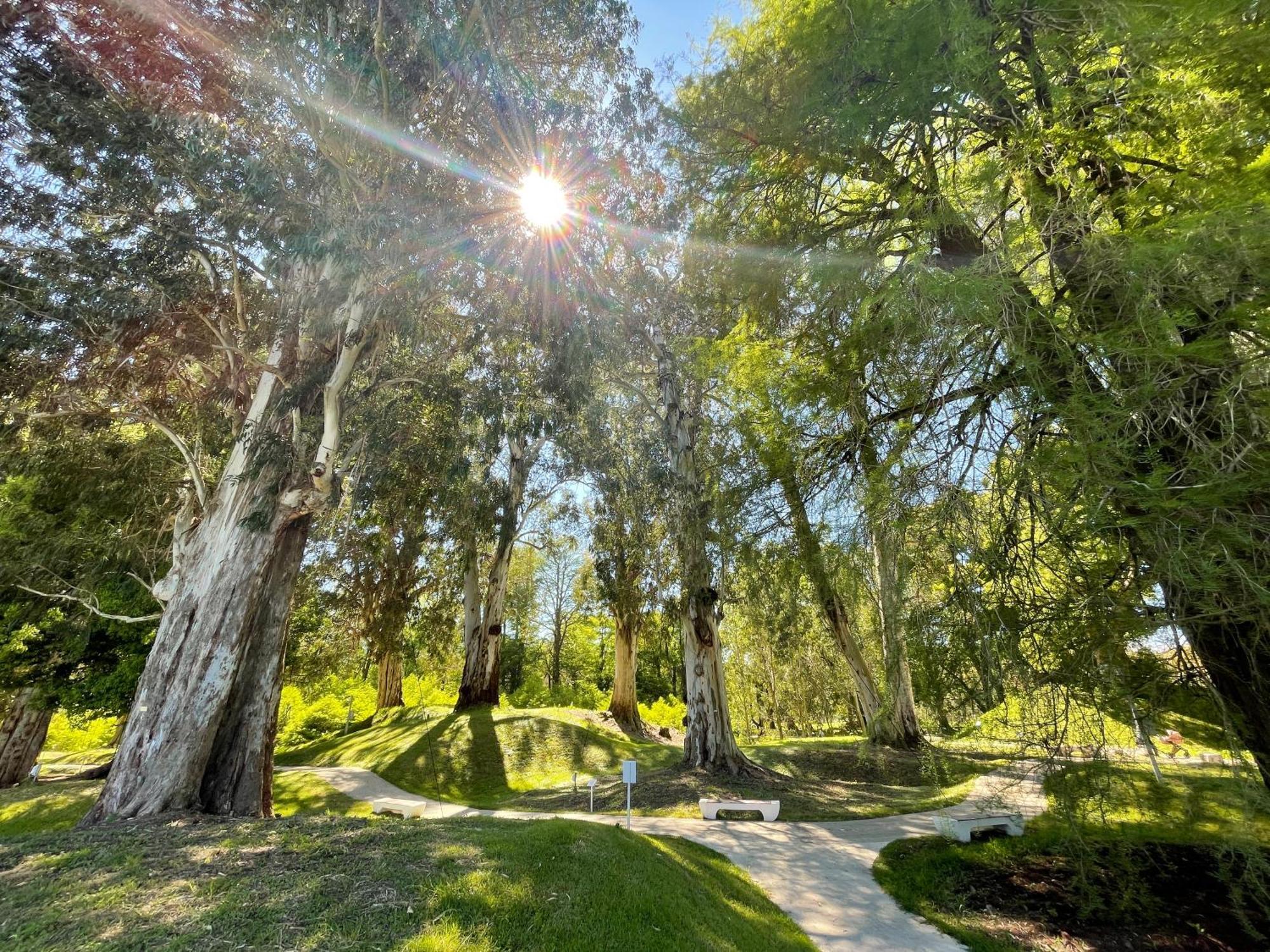 Villa Story Hotel Šekvetili Exteriér fotografie